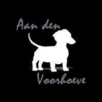 Aan Den Voorhoeve - NTC Erkende Teckelfokker logo